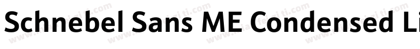 Schnebel Sans ME Condensed Light字体转换